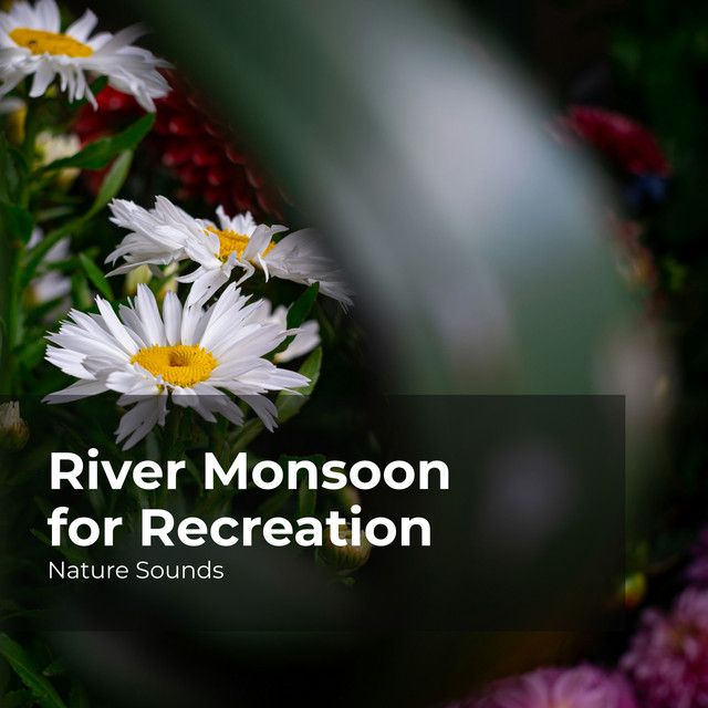 River Monsoon for Recreation cover art