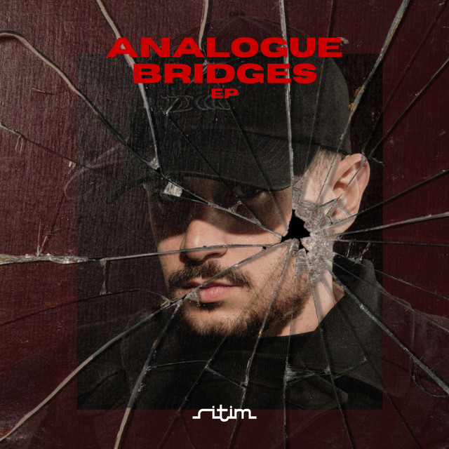 Analogue Bridges