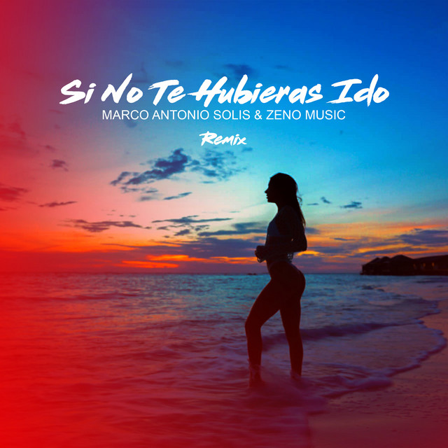 Si No Te Hubieras Ido - Remix