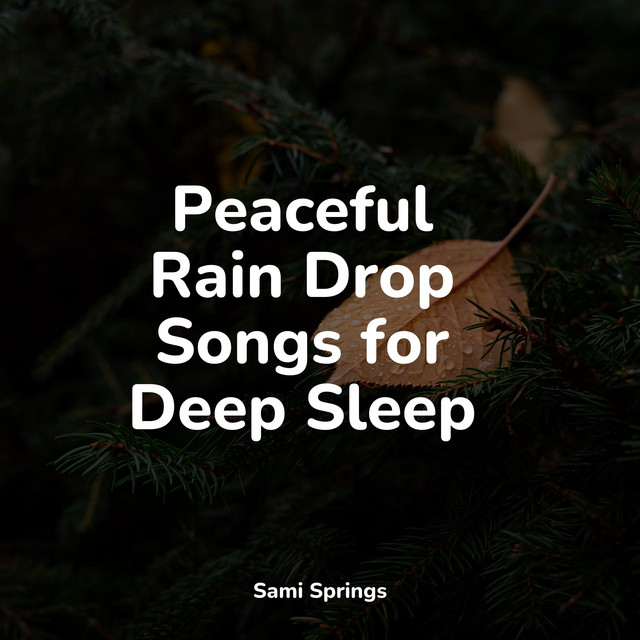 Peaceful Rain Drop Songs for Deep Sleep - Album by Sounds Of Nature ...