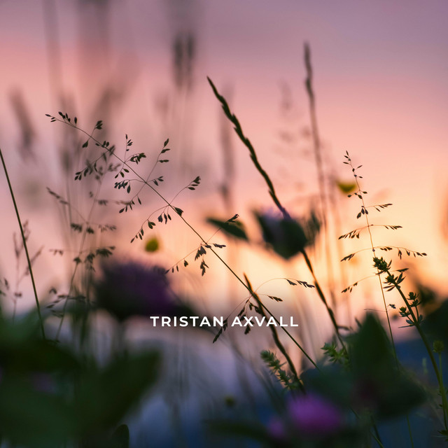 Hope cover art