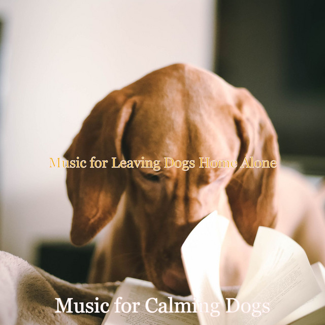 Music for Leaving Dogs Home Alone cover art