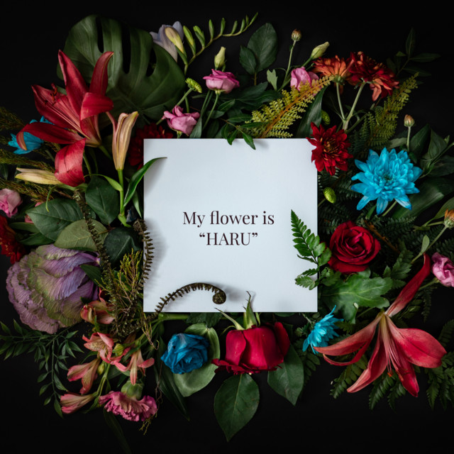 My flower is 