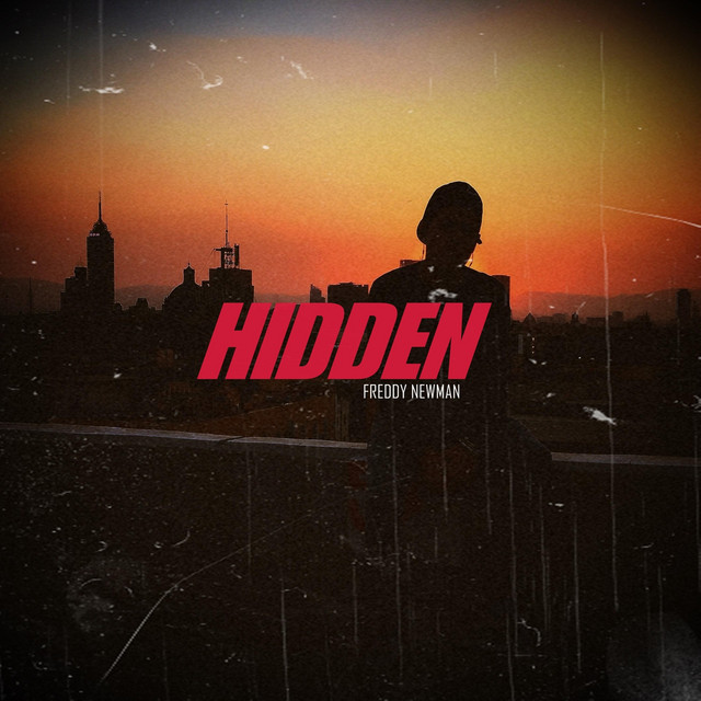 Hidden cover art
