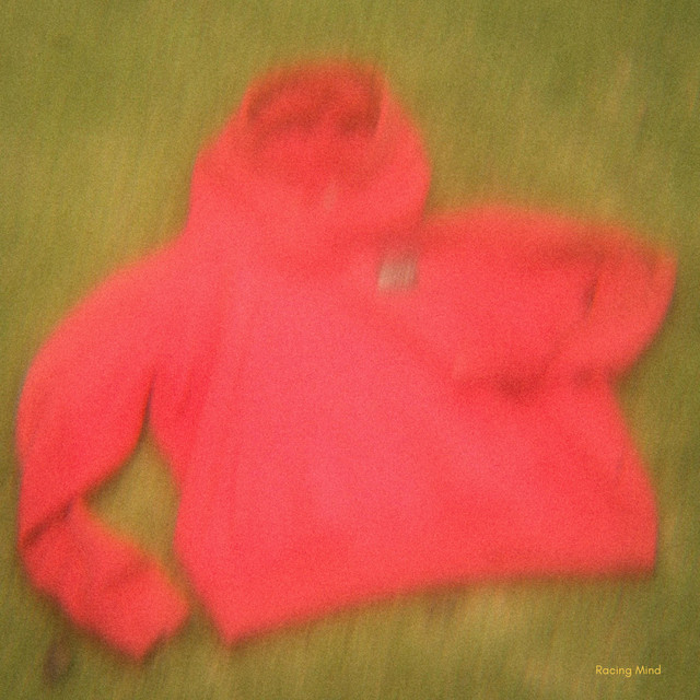 Racing Mind cover art