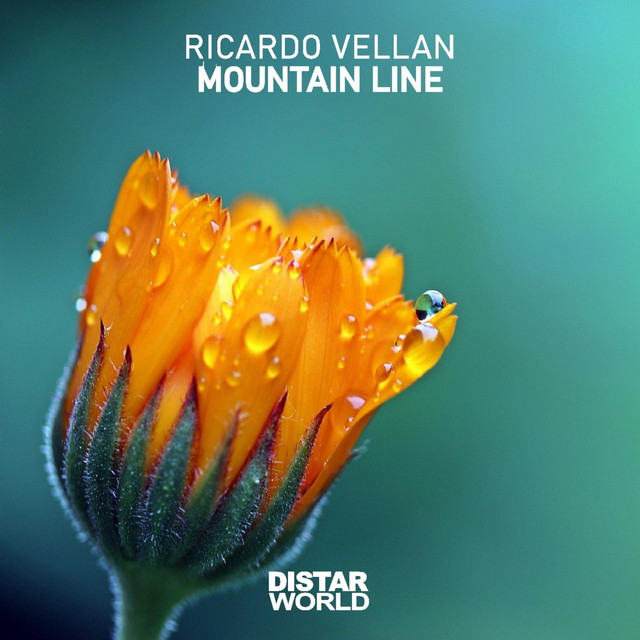 Ricardo Vellan