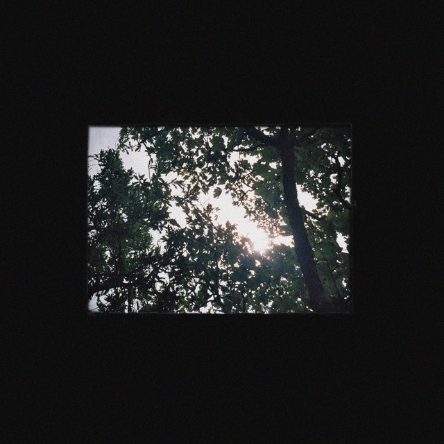 Shadelight cover art