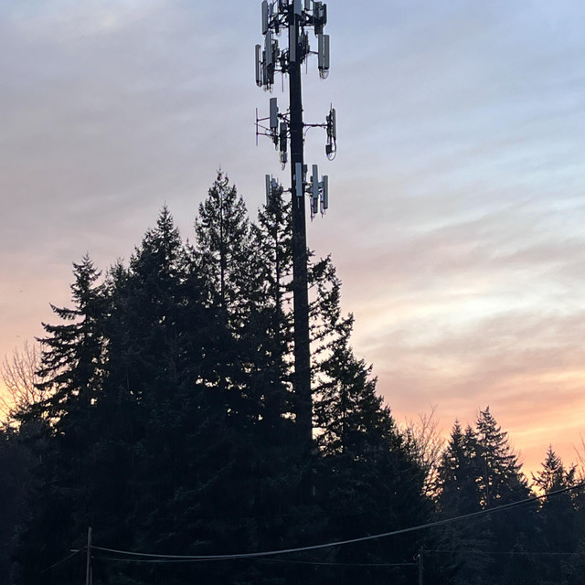 2019-01-21