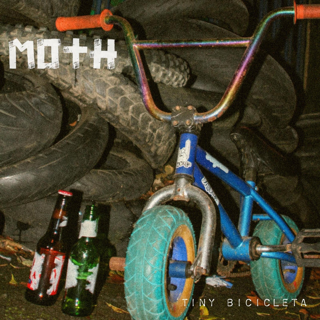 Tiny Bicicleta cover art