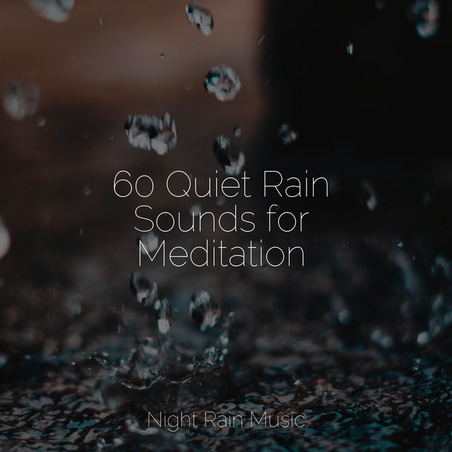 60 Quiet Rain Sounds for Meditation - Album by Pacific Rim Nature ...