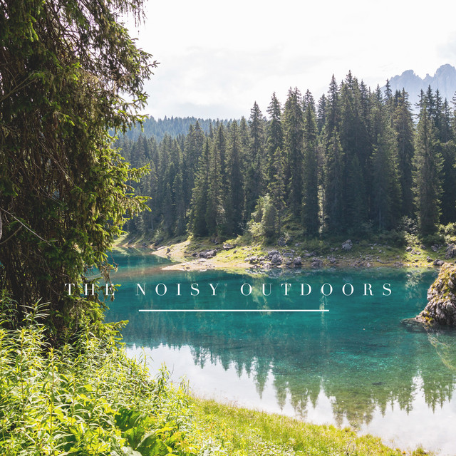 The Noisy Outdoors by The Noisy Outdoors