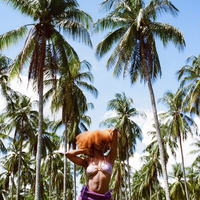 Long Way album image