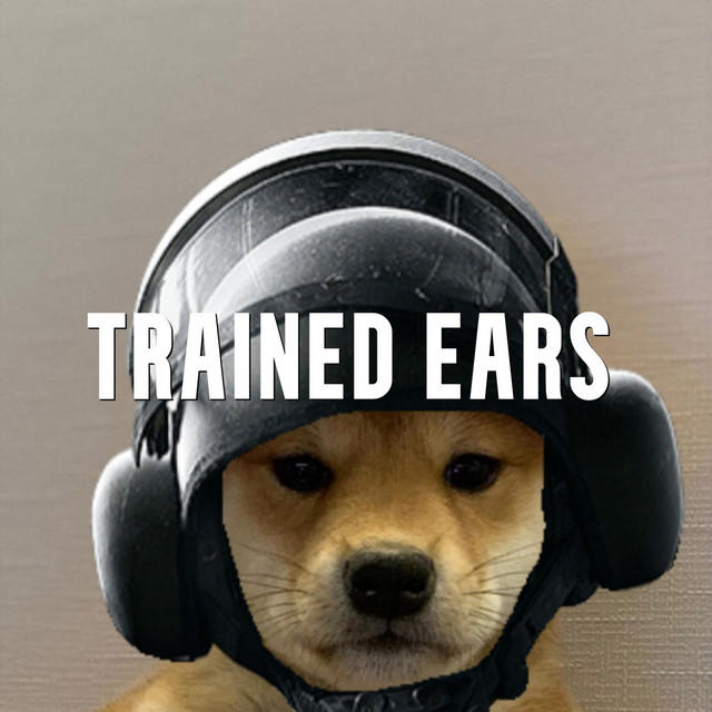 R6 Trained Ears cover art