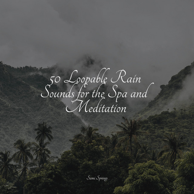 50 Loopable Rain Sounds for the Spa and Meditation - Album by Sonidos ...
