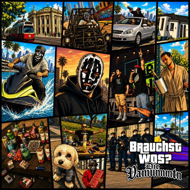 Brauchst Wos? cover