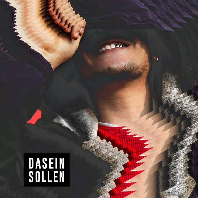 Dasein sollen cover art