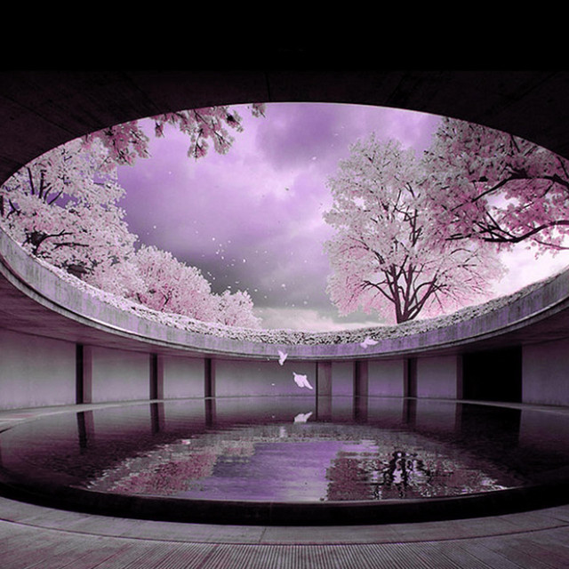 LG - Chopped and Screwed