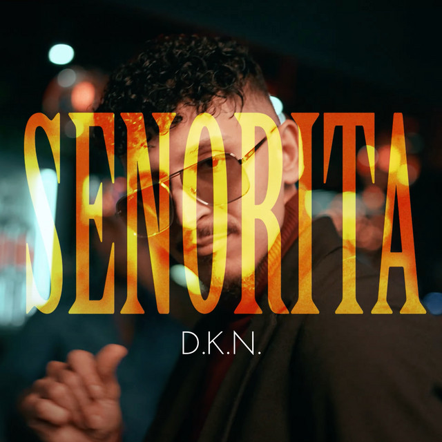 Senorita cover