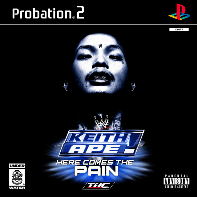 HERE COMES THE PAIN! cover