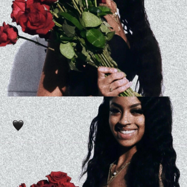 XO VANNZ