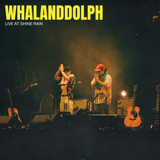 LIVE AT SHINE RAIN album image