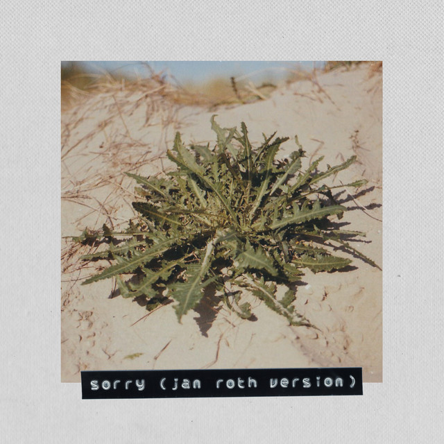 Sorry (Jan Roth Version) cover