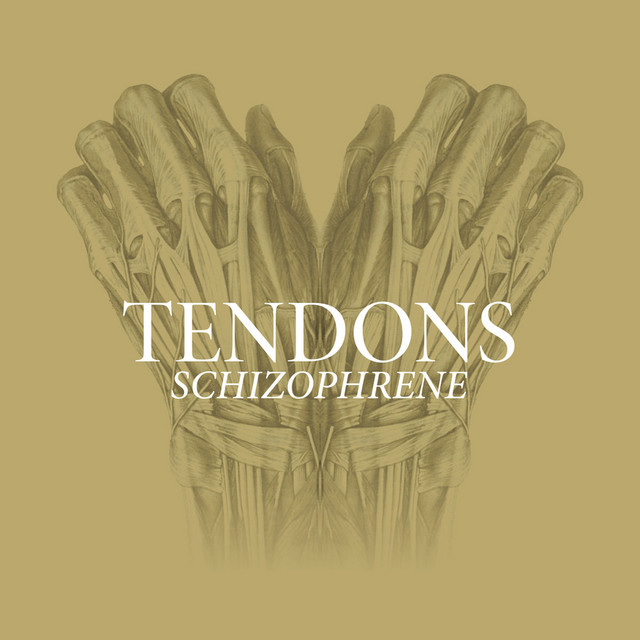 Schizophrene cover