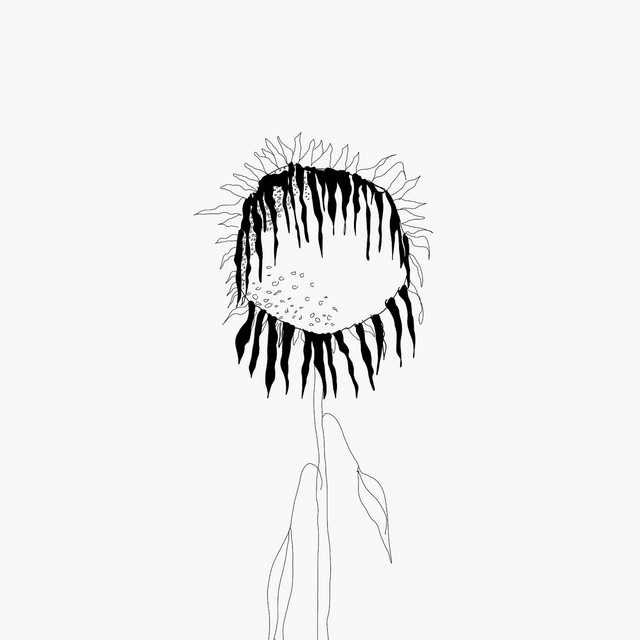 Sonnenblumenfeld cover art
