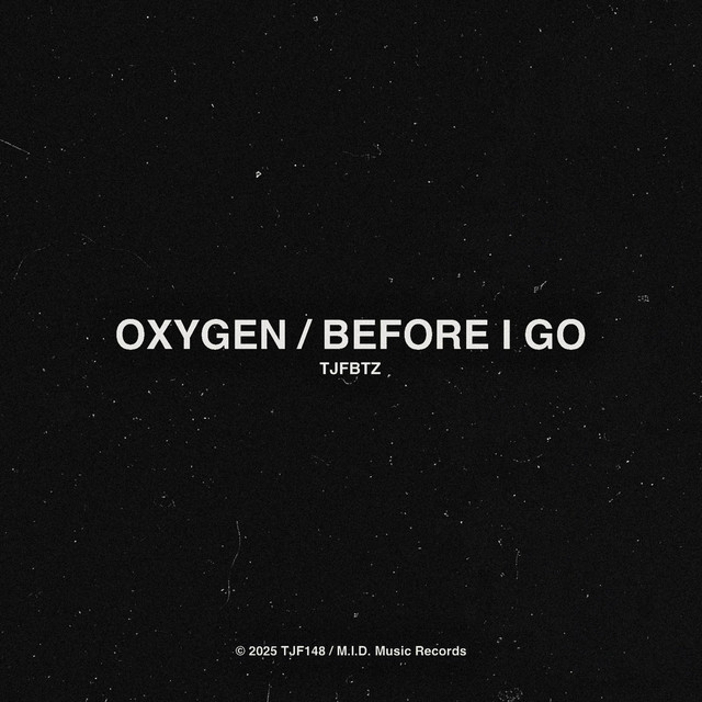 BEFORE I GO