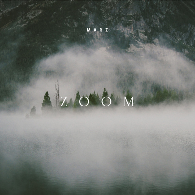 Zoom cover art