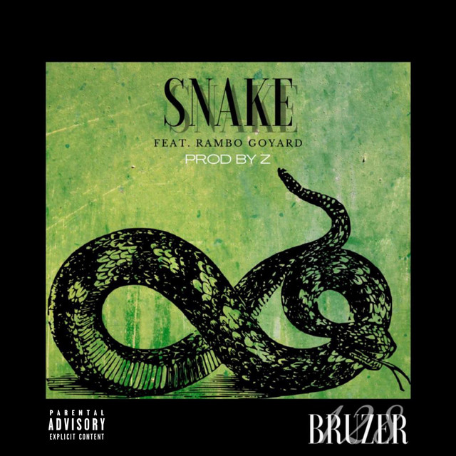 Snake cover art