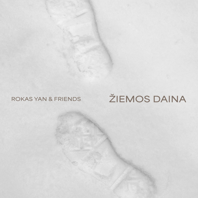 Žiemos Daina cover art