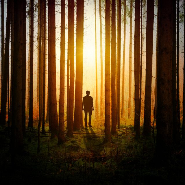 Nature Melodies for Healing Mood cover art