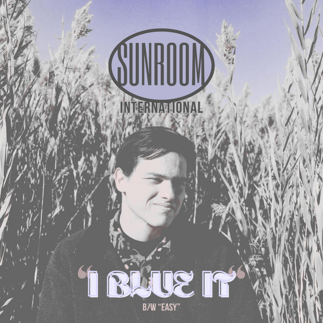 I Blue It cover art