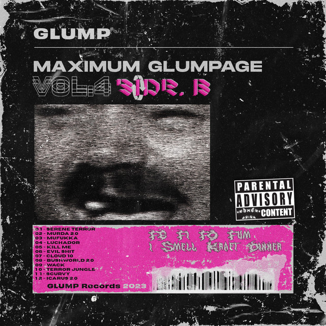 Maximum Glumpage, Vol. 4 (Side B) cover art