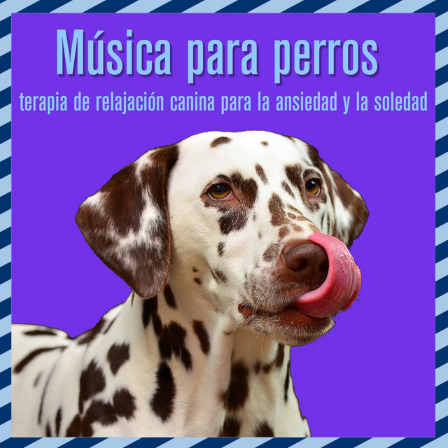 Música para perros: terapia de relajación canina para la ansiedad y la soledad cover art