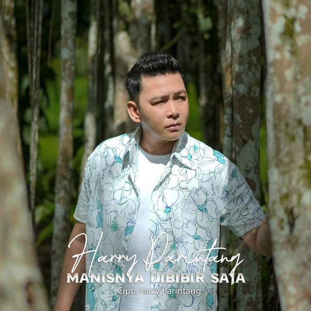 Harry Parintang - Manisnya Dibibir Saja album image
