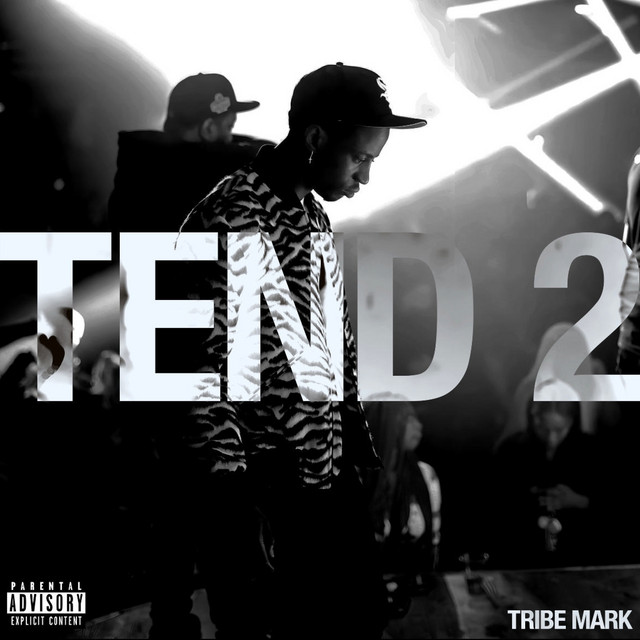 TEND 2 - Single by Tribe Mark | Spotify