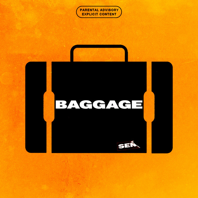 Baggage cover art