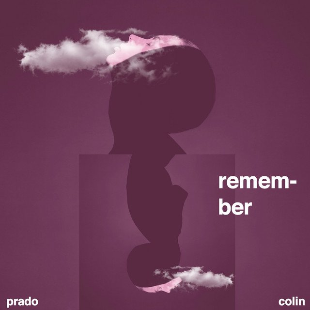 Remember cover art