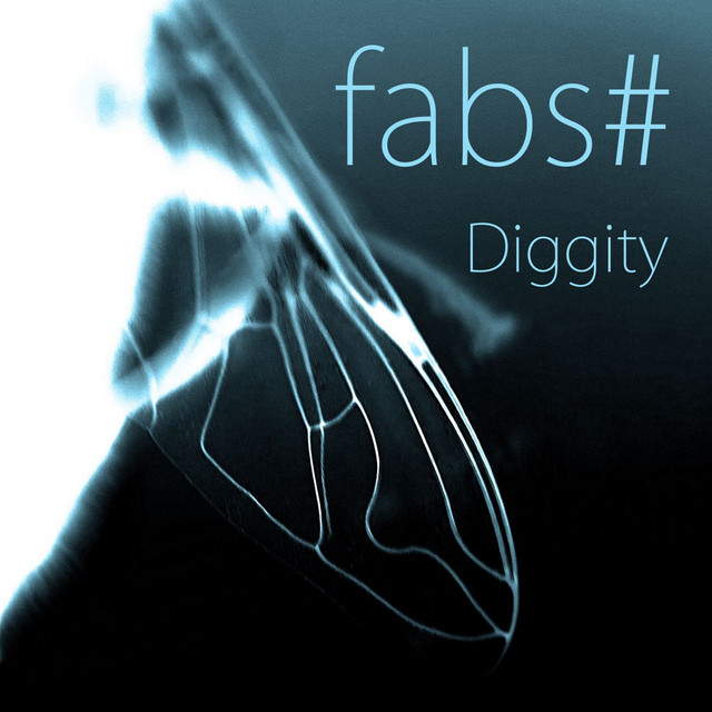 Diggity - Saite Zwei Remix cover art