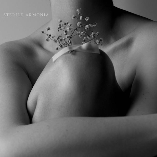 Sterile Armonia (reprise) cover