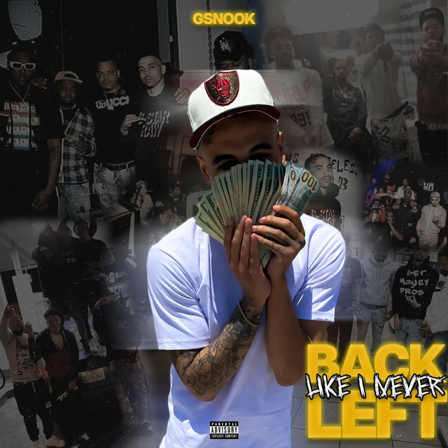Back Like I Never Left cover art