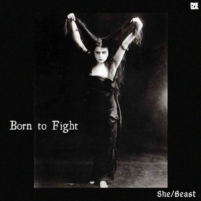 Born to Fight cover