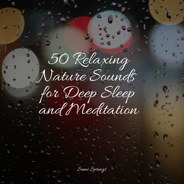50 Relaxing Nature Sounds for Deep Sleep and Meditation - Album by ...