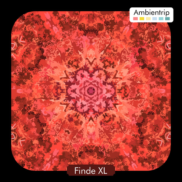 Finde XL cover art