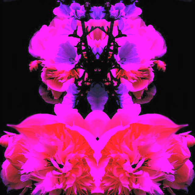 Strung Out cover art