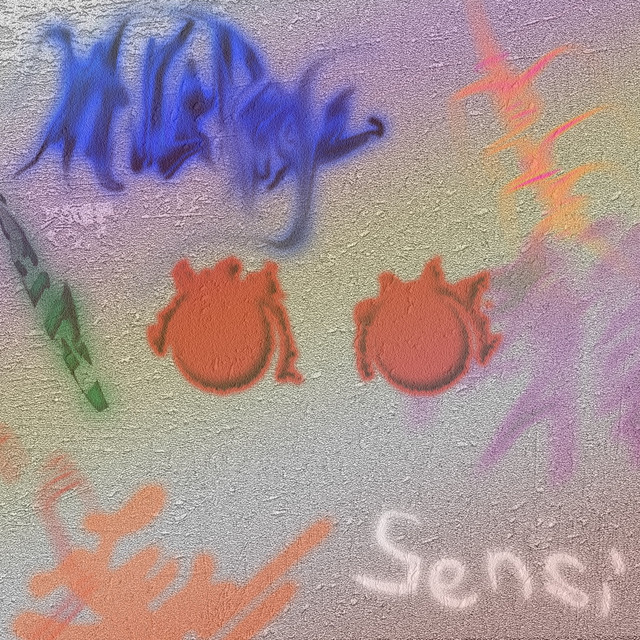 Sensi cover art