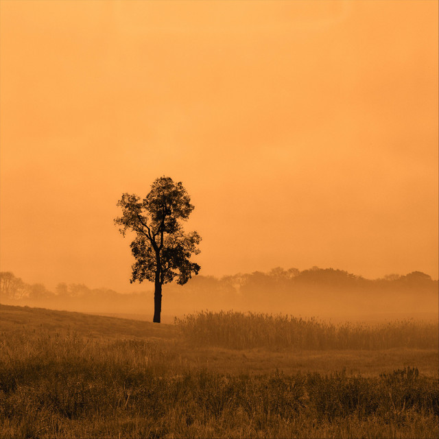 Waking Up! cover art
