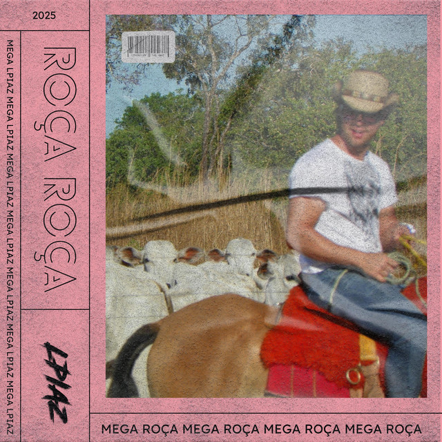 MEGA ROÇA ROÇA - song and lyrics by DJ LPIAZ | Spotify